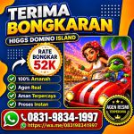 thumbnail-terima-bongkar-chip-hdi-chip-rd-proses-cepat-buka-24-jam-aman-wa-083198341997-0