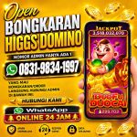 thumbnail-khusus-terima-bongkar-chip-domino-island-higgs-buka-24jam-wa0831-9834-1997-0
