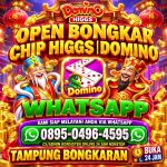 thumbnail-khusus-terima-bongkar-chip-domino-island-higgs-buka-24jam-wa089504964595-0