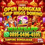 thumbnail-terima-bongkar-chip-hdi-higgs-domino-island-jual-beli-chip-hdi-wa0895-0496-4595-0
