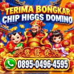 thumbnail-terima-bongkar-chip-hdi-higgs-domino-island-jual-beli-chip-hdi-wa0895-04964595-0