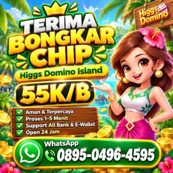 TERIMA BONGKAR CHIP HDI HIGGS DOMINO ISLAND JUAL BELI CHIP HDI WA0895-0496,4595