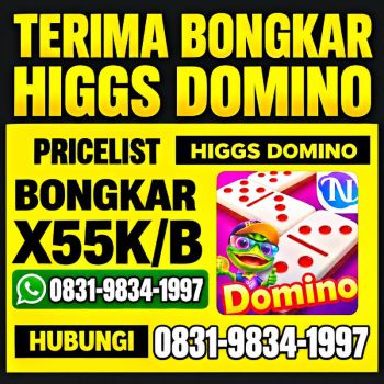 TERIMA BONGKAR CHIP HDI HIGGS DOMINO ISLAND JUAL BELI CHIP HDI WA 083198341997