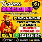 thumbnail-khusus-terima-bongkar-chip-domino-island-higgs-buka-24jam-wa0831-9834-1997-0