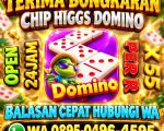 thumbnail-agen-bongkar-chip-higgs-domino-amanah-dan-terpercaya-agen-resmi-0
