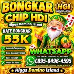 thumbnail-khusus-terima-bongkar-chip-higgs-domino-island-amanah-dan-terpercaya-0
