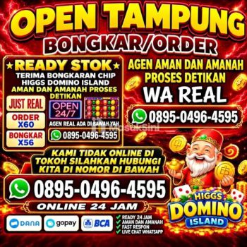 KHUSUS TERIMA BONGKAR CHIP HIGGS DOMINO ISLAND AMANAH DAN TERPERCAYA♻️