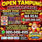 thumbnail-khusus-terima-bongkar-chip-higgs-domino-island-amanah-dan-terpercaya-0