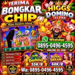 thumbnail-agen-terima-bongkaran-chip-higgs-domino-island-terpercaya-agen-resmi-0