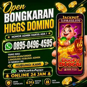 AGEN TERIMA BONGKARAN CHIP HIGGS DOMINO ISLAND TERPERCAYA AGEN RESMI☑️☑️