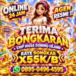 thumbnail-agen-terima-bongkaran-chip-higgs-domino-island-terpercaya-agen-resmi-0