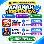 thumbnail-terima-bongkar-coin-chip-hdi-higgs-domino-island-hub-wa-085783534639-0