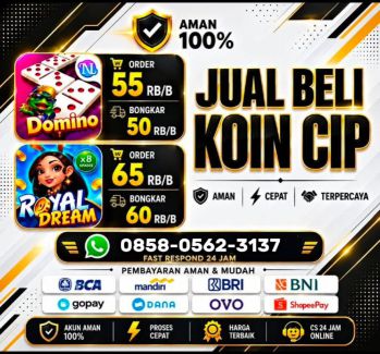 AGEN TERIMA BONGKAR CHIP HIGGS DOMINO ISLAND (HDI) & RD WA 0858-0562-3137