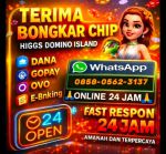 thumbnail-agen-terima-bongkar-chip-higgs-domino-island-hdi-rd-wa-0858-0562-3137-3