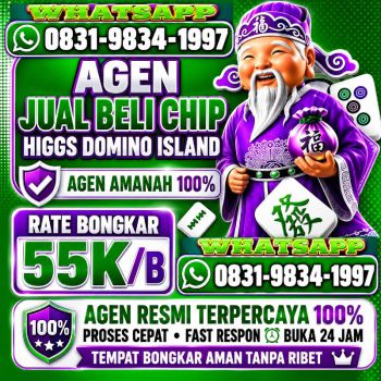 TERIMA BONGKAR CHIP HDI HIGGS DOMINO ISLAND JUAL BELI CHIP HDI WA 083198341997