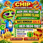 thumbnail-terima-bongkar-chip-hdi-higgs-domino-island-jual-beli-chip-hdi-wa-083198341997-0