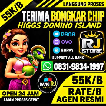 TERIMA BONGKAR CHIP HDI HIGGS DOMINO ISLAND JUAL BELI CHIP HDI WA 083198341997