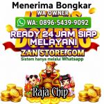 thumbnail-agen-resmi-terima-bongkar-chip-higgs-domino-island-0