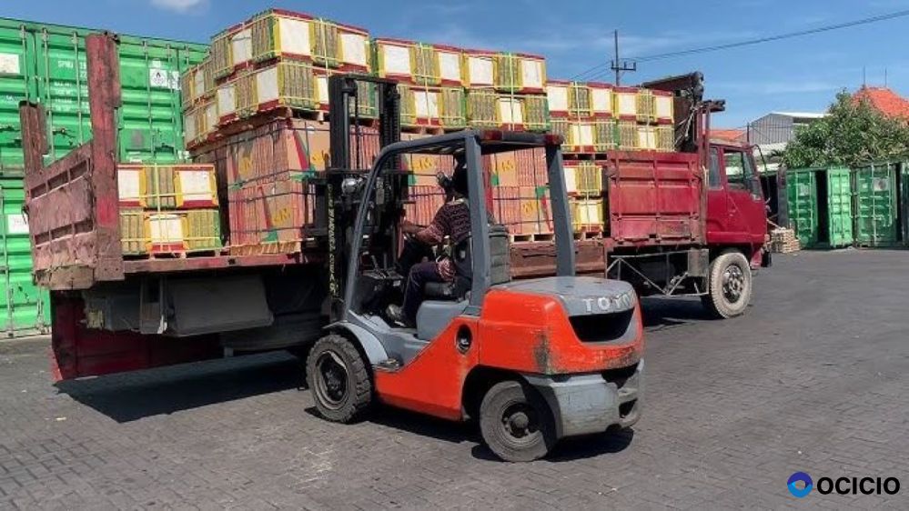 JASA IMPORT DENGAN BIAYA TERMURAH ASIA & DAN EROPA