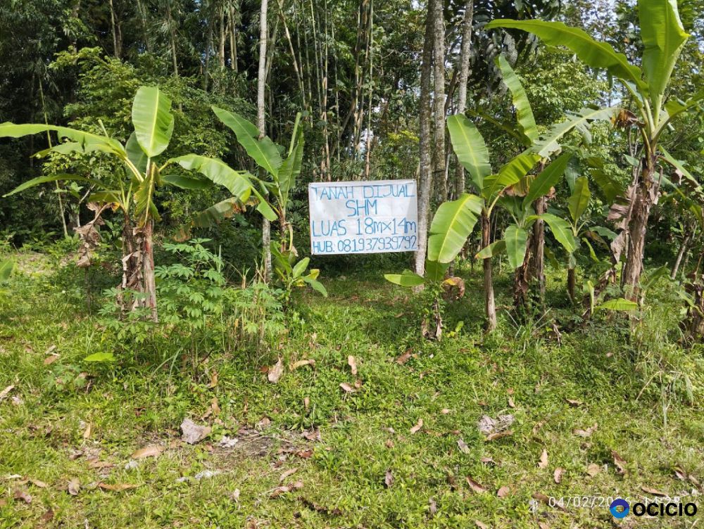 Dijual Tanah Kavling SHM Lokasi Strategis Dekat Masjid Tiban di Sananrejo Turen