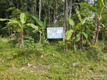 Dijual Tanah Kavling SHM Lokasi Strategis Dekat Masjid Tiban di Sananrejo Turen