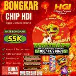 thumbnail-terima-bongkar-chip-higs-domino-island-royal-dream-0