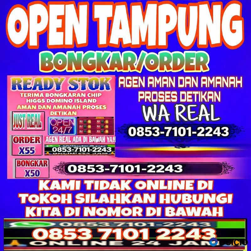 KHUSUS TERIMA BONGKAR CHIP DOMINO ISLAND HIGGS 🔥 BUKA 24JAM WA:0853-7101-2243