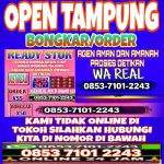 thumbnail-khusus-terima-bongkar-chip-domino-island-higgs-buka-24jam-wa0853-7101-2243-0