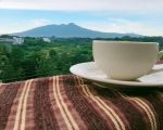 thumbnail-rumah-dijual-di-kota-bogor-view-gunung-salak-dekat-transmart-yasmin-0