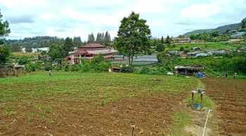DIJUAL TANAH DI BERASTAGI DAERAH PECEREN COCOK UNTUK VILLA DAN HOTEL O8I3II6II4I