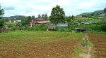 thumbnail-dijual-tanah-di-berastagi-daerah-peceren-cocok-untuk-villa-dan-hotel-o8i3ii6ii4i-0