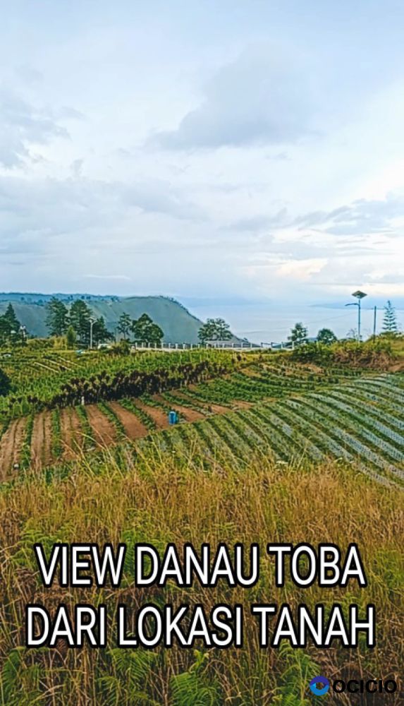 DIJUAL TANAH VIEW DANAU TOBA DEKAT SIMALEM RESORT O8I3II6II4I