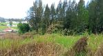 thumbnail-jual-tanah-premium-di-berastagi-peceren-10059-shm-view-terbaik-2