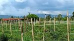 thumbnail-jual-tanah-di-dolat-rayat-berastagi-2520m2-shm-area-pemukiman-0