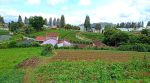 thumbnail-jual-tanah-premium-di-berastagi-peceren-7220m2-shm-view-terbaik-1