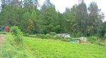 thumbnail-jual-tanah-premium-di-berastagi-peceren-7220m2-shm-view-terbaik-3