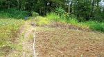 thumbnail-jual-tanah-premium-di-berastagi-peceren-14236m2-shm-view-terbaik-3