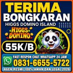 thumbnail-terima-bongkar-chip-higgs-domino-island-wa-0831-6655-5722-0