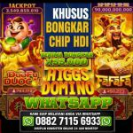 thumbnail-terima-bongkaran-chip-higgs-domino-island-088271156933-0