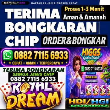 Terima bongkaran chip higgs domino island terpercaya