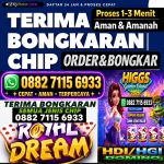 thumbnail-terima-bongkaran-chip-higgs-domino-island-terpercaya-0