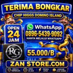 thumbnail-terima-bongkar-chip-higgs-domino-island-aman-dan-terpercaya-1