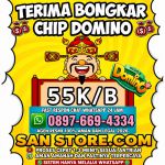 thumbnail-terima-bongkar-chip-higgs-domino-island-aman-dan-terpercaya-wa-0897-669-4334-0