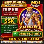 thumbnail-terima-bongkaran-chip-higgs-domino-island-aman-dan-terpercaya-1