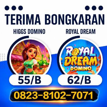TERIMA BONGKAR CHIP HDI DOMINO ISLAND HIGGS