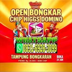 thumbnail-terima-bongkar-chip-island-domino-hdi-higgs-chat-wa-083169283099-0