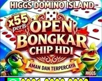 TERIMA BONGKAR CHIP DOMINO ISLAND HIGGS WA 083169283099