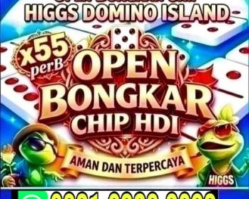 TERIMA BONGKAR DOMINO ISLAND HDI CHIP HIGGS CHAT WA 083169283099