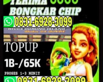 tampung bongkar chip Higgs domino island hdi hubungi WA 083169283099