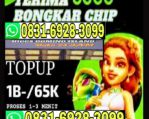 thumbnail-tampung-bongkar-chip-higgs-domino-island-hdi-hubungi-wa-083169283099-0
